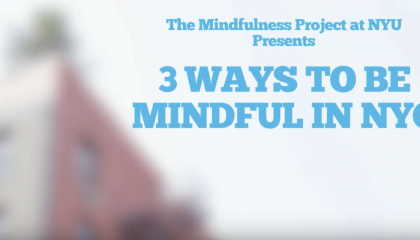 3 Ways To Be Mindful in New York City: Tips from The Mindfulness Project