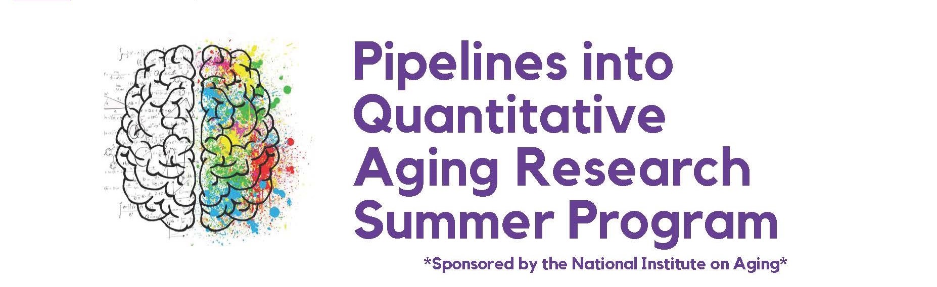 Pipelines into Quantitative Aging Research Summer Program