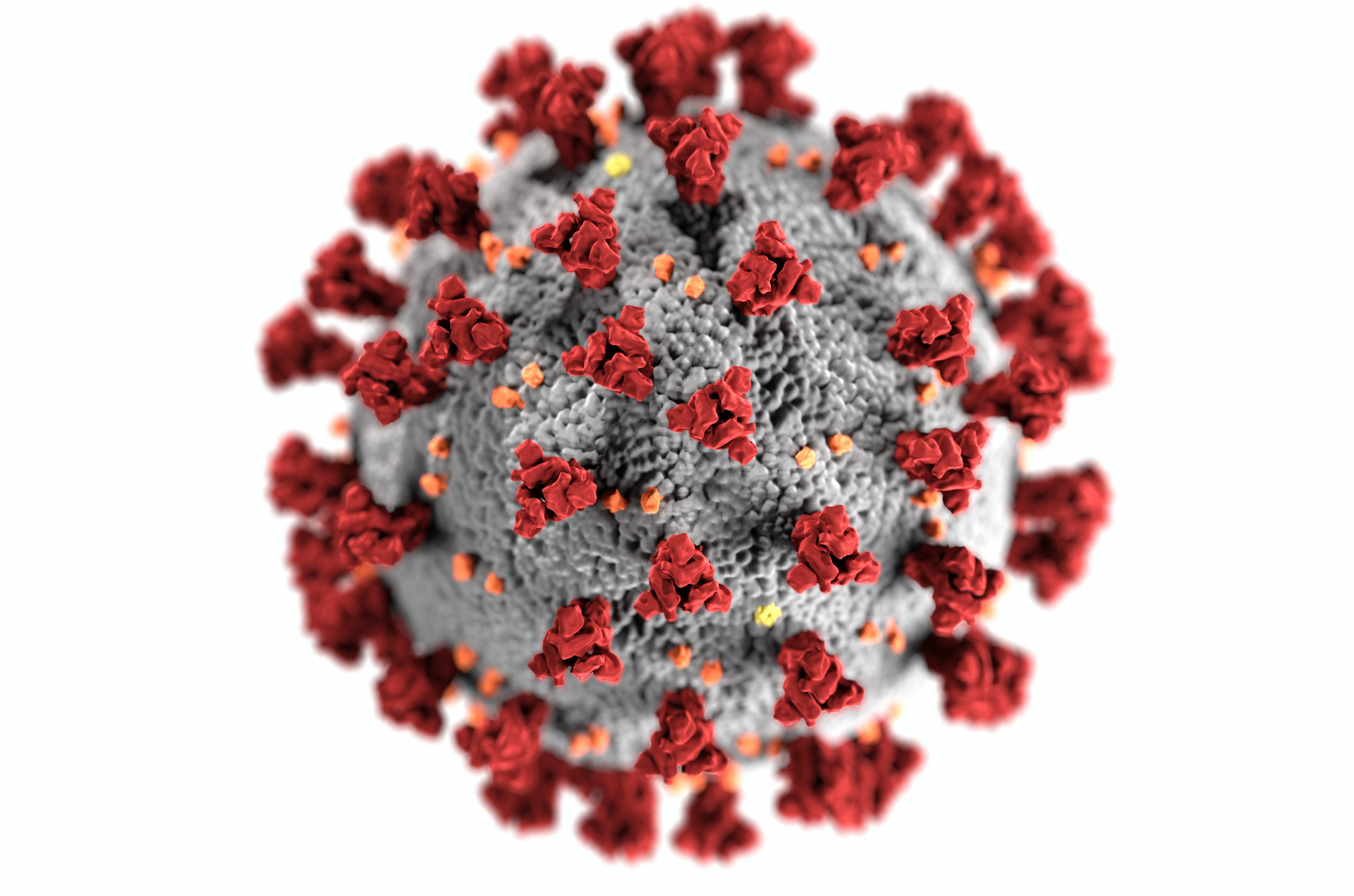 CDC visualization of SARS-CoV-2