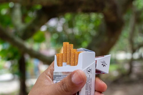 tobacco information image 