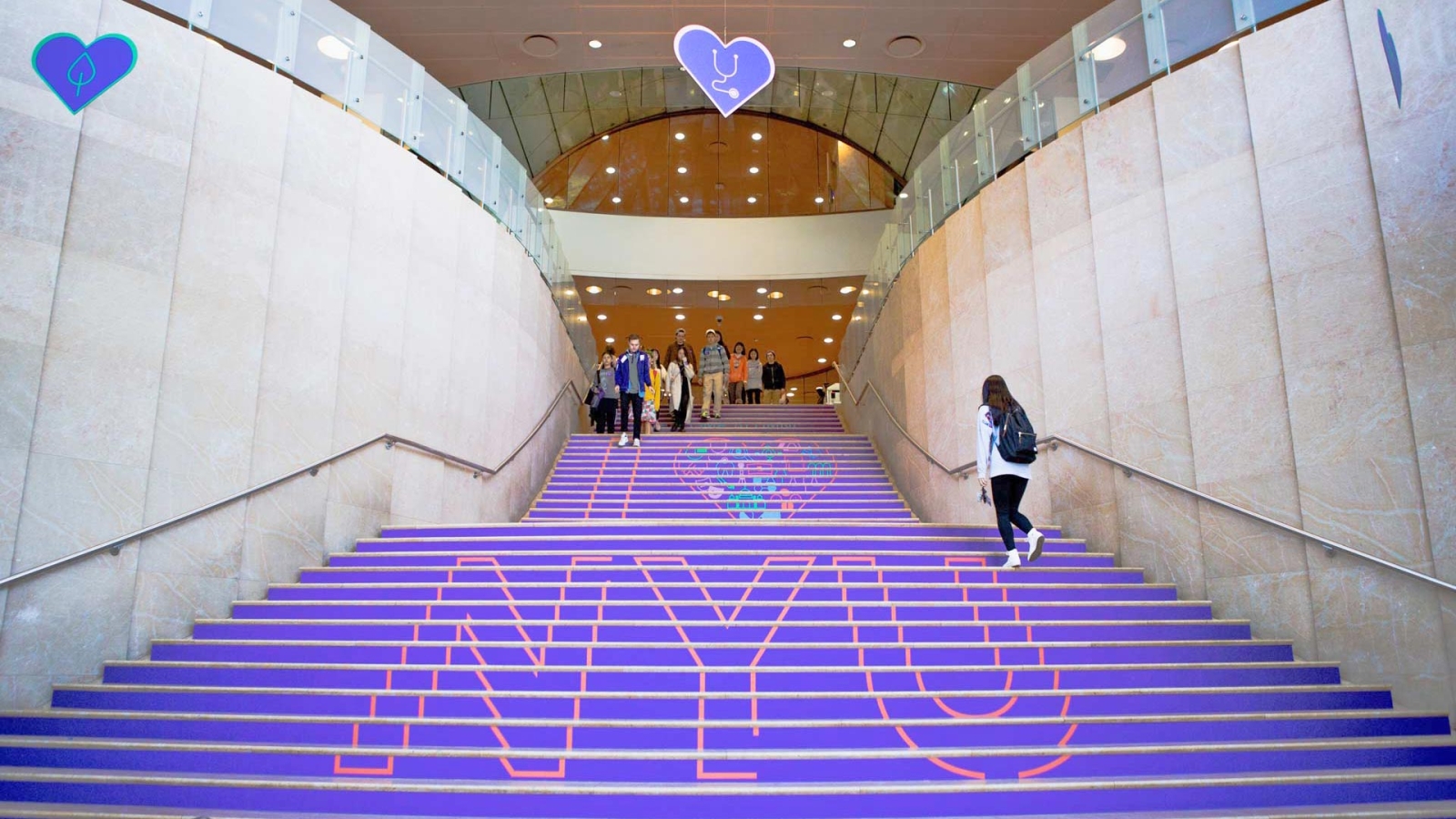 Violet stairs at the NYU Kimmel Center