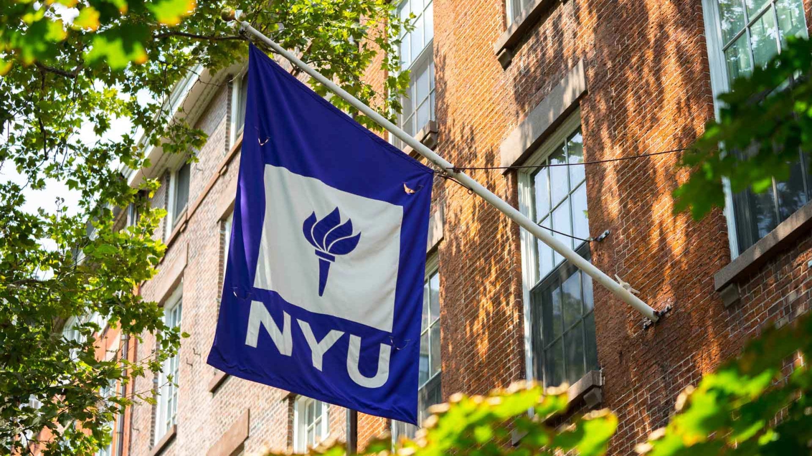 NYU Flag