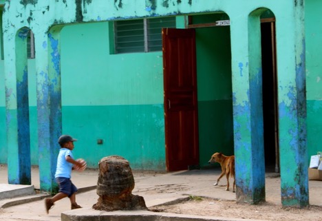 Boy and Dog