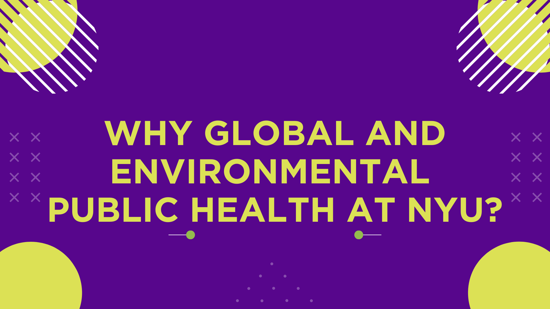 Why Global and Environmental Health at NYU?