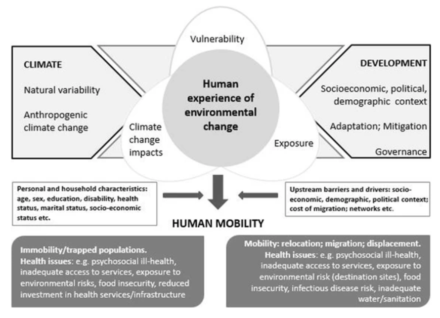 Conceptual Framework