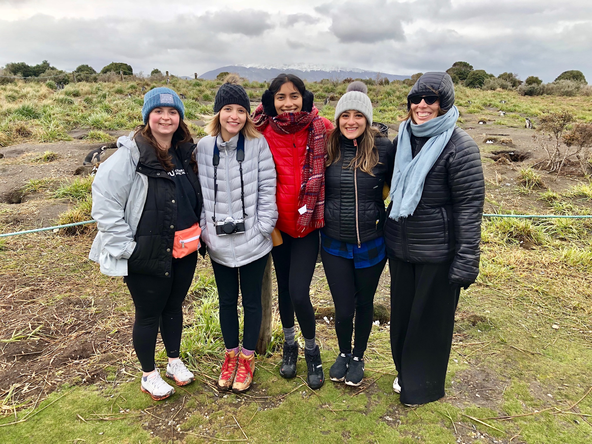 Cohort students chilling with Penguins on Isla Martillo, Ushuaia