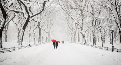 Central Park in the winter