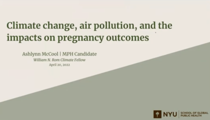 Air Pollution and Pregnancy Outcomes