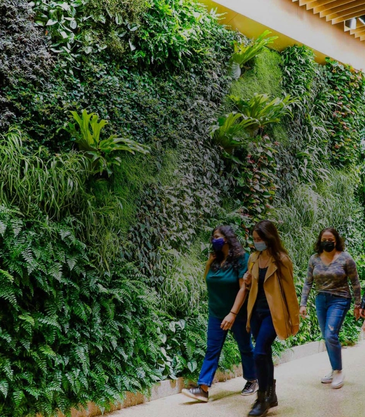 Students walking in front of the living green wall