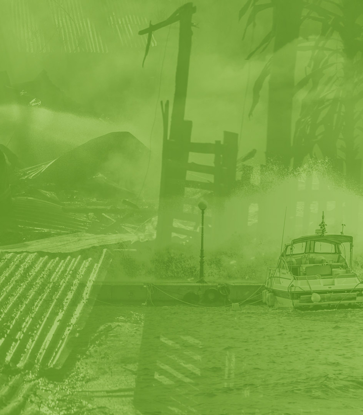 Population Impact, Recovery, and Resilience