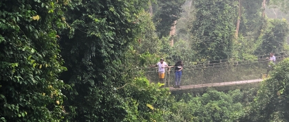 Students walking across a bridge in a rainforest