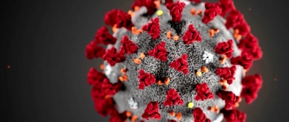 Coronavirus