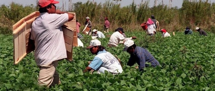 Farmworkers