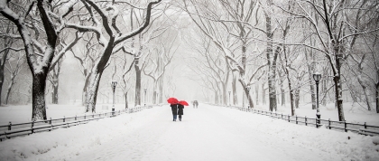 Central Park in the winter