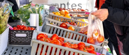 Food shopping at a farmer's market